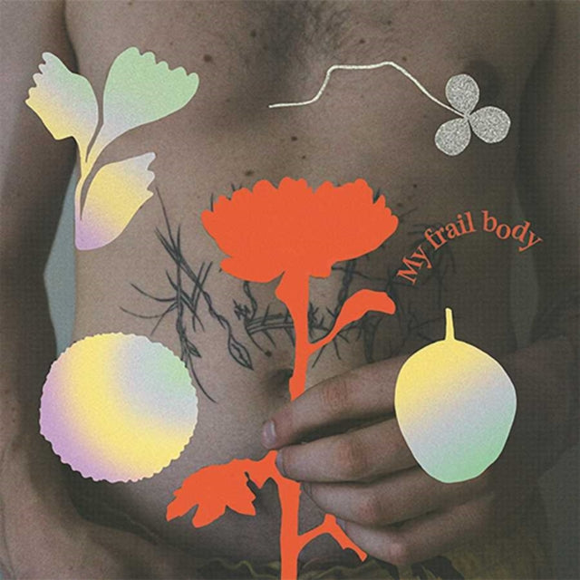 Product Image : This CD is brand new.<br>Format: CD<br>Music Style: Downtempo<br>This item's title is: My Frail Body<br>Artist: Gundelach<br>Barcode: 192641067464<br>Release Date: 3/27/2020