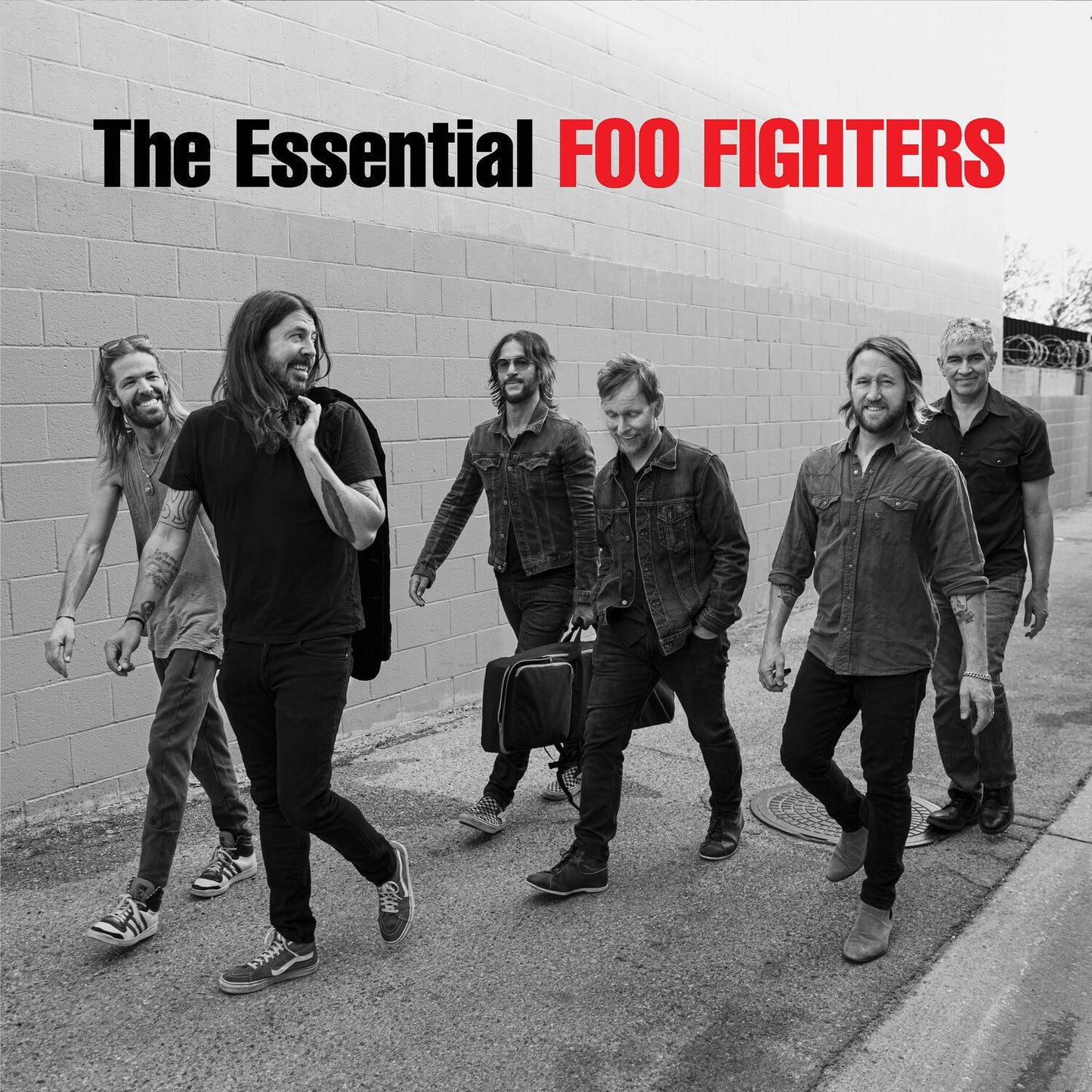 One By One & Essential Foo Fighters & Greatest Hits & Colour And The Shape (Expanded Edition)