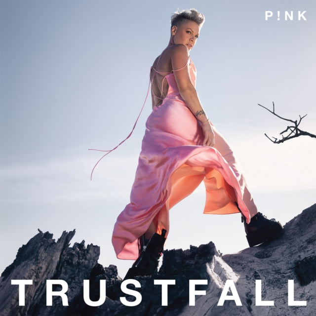 This is a 2 CD SKU bundle.
1.This CD is brand new.Format: CDMusic Style: AvantgardeThis item's title is: TrustfallArtist: PinkLabel: RCABarcode: 196587726522Release Date: 2/17/2023
2.This CD is brand new.