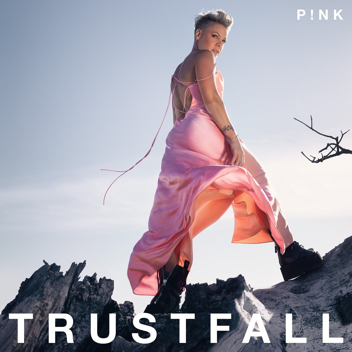 Trustfall & Truth About Love & Greatest Hits...So Far (3 Bonus Tracks)