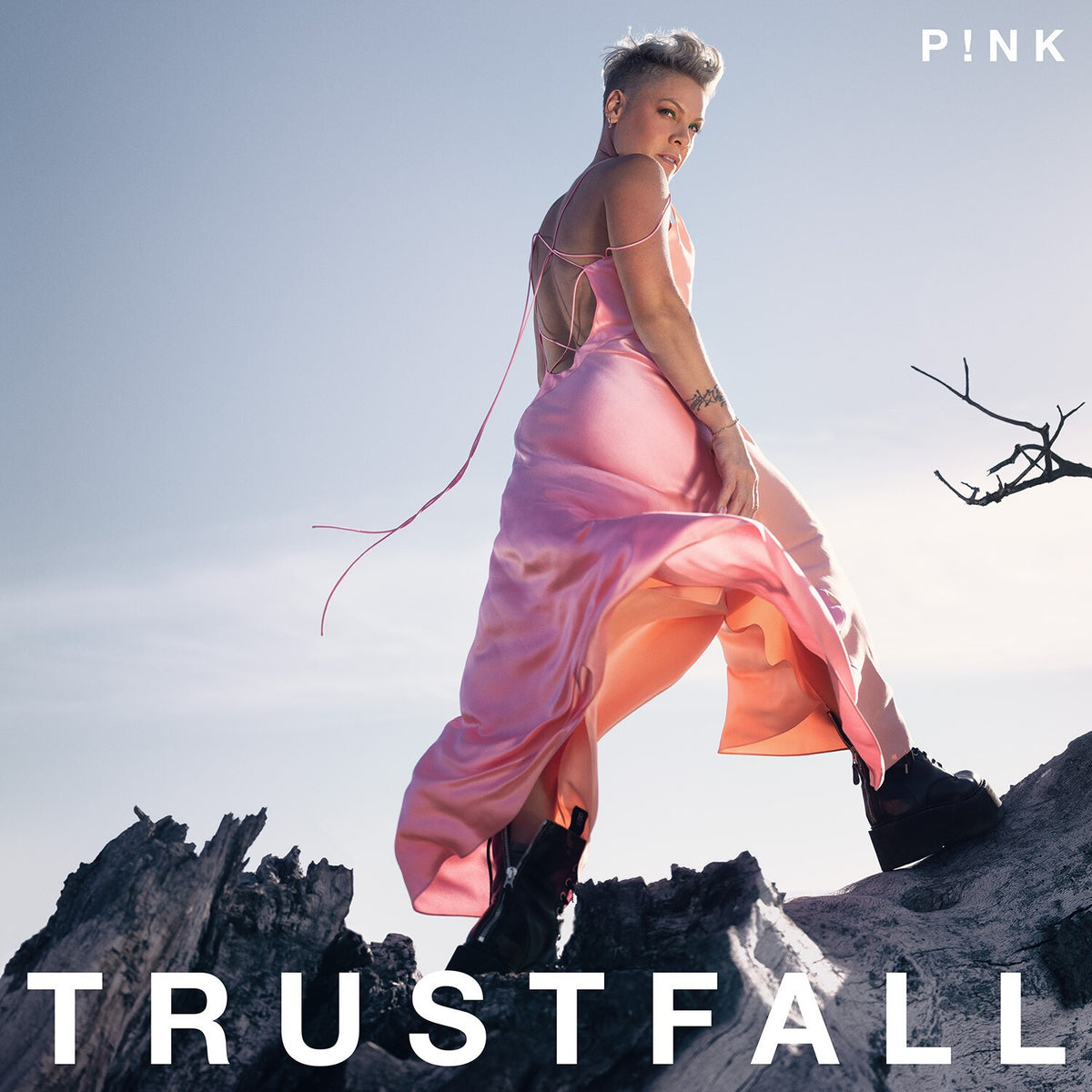 Trustfall & Truth About Love & Greatest Hits...So Far (3 Bonus Tracks)