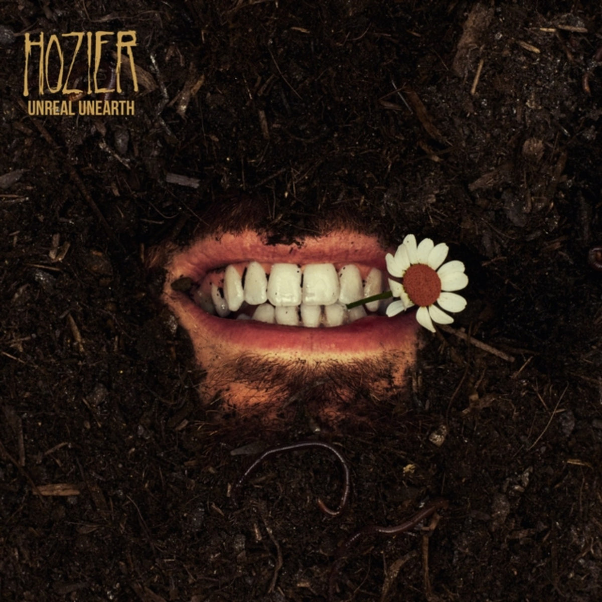 Hozier - Unreal Unearth (2LP) & Wasteland, Baby! (2LP)