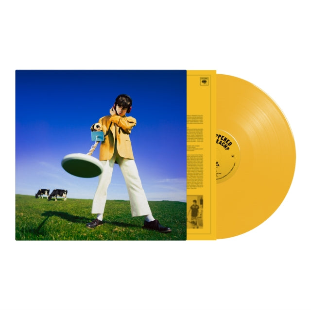 Declan Mckenna - What Happened To The Beach? (Yellow LP Vinyl)
