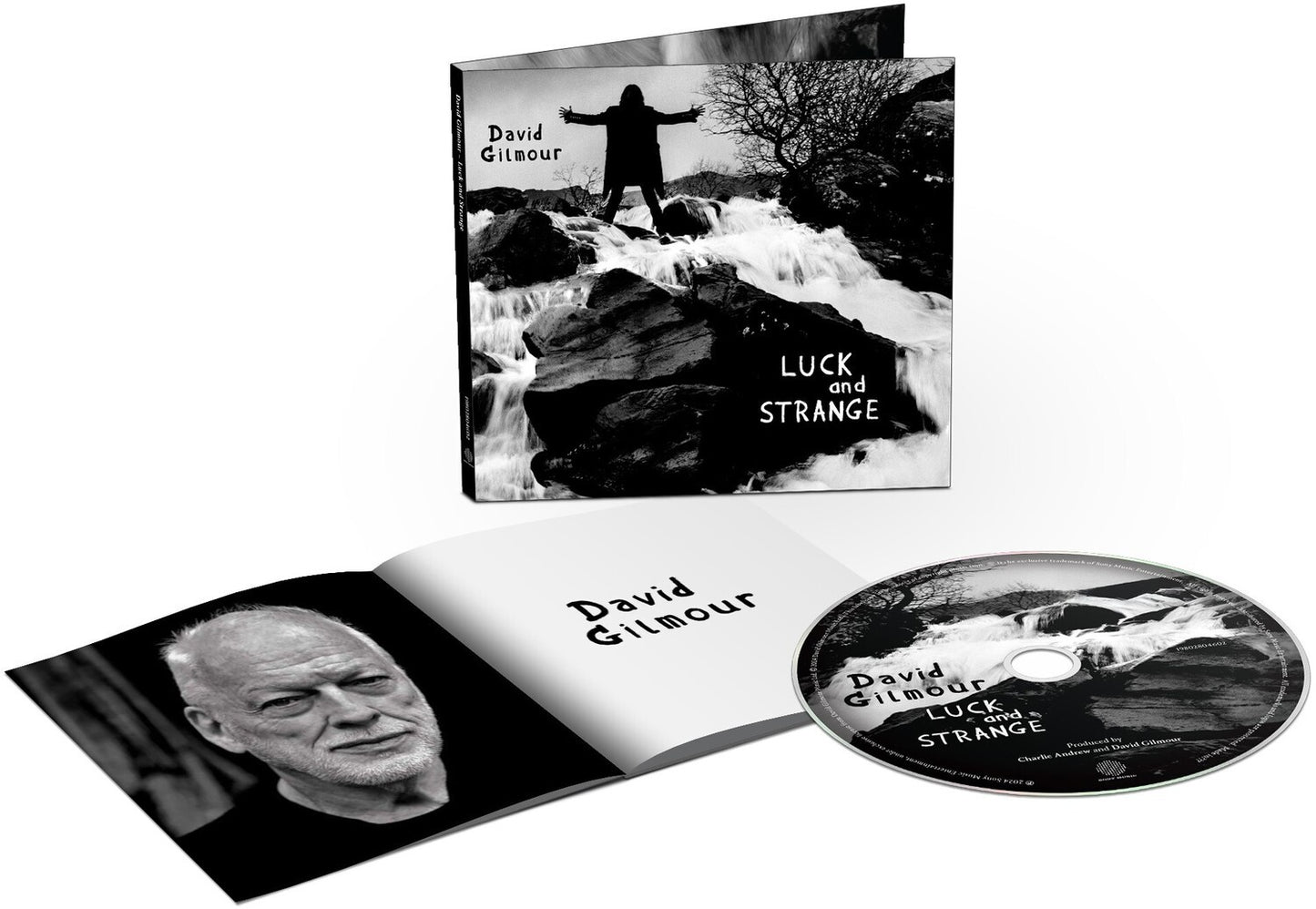 David Gilmour & Luck & Strange