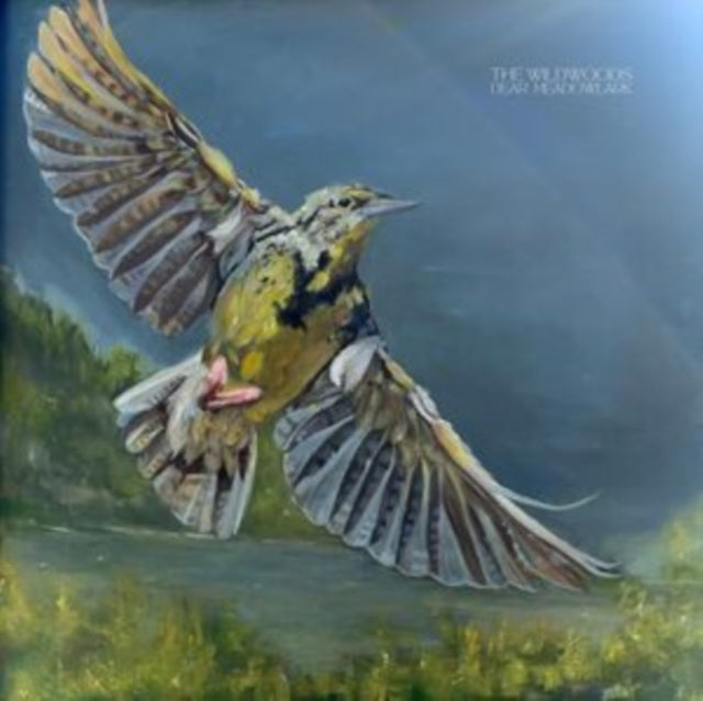 This CD is brand new.Format: CDThis item's title is: Dear MeadowlarkArtist: WildwoodsBarcode: 198622944564Release Date: 8/1/2025