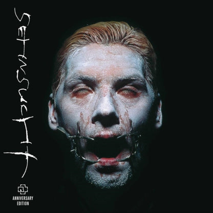 This is a 3 CD SKU bundle.
1.This CD is brand new.Format: CDMusic Style: Industrial MetalThis item's title is: SehnsuchtArtist: RammsteinLabel: Universal Music GroupBarcode: 602435838007Release Date: 4/25/2025
2.This CD is brand new.