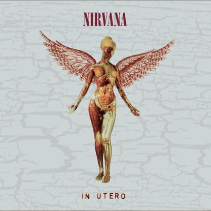 This is a 2 CD SKU bundle.
1.This CD is brand new.Format: CDMusic Style: GrungeThis item's title is: In Utero (30Th Anniversary) (2CD)Artist: NirvanaLabel: UMeBarcode: 602455178572Release Date: 10/27/2023
2.This CD is brand new.