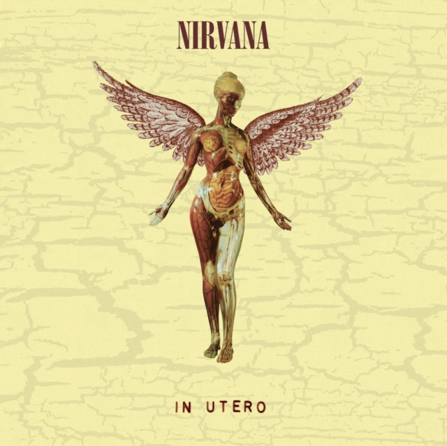 This is a 3 LP Vinyl SKU bundle.
1.This LP Vinyl is brand new.Format: LP VinylMusic Style: GrungeThis item's title is: In Utero (30Th Anniversary) (LP/10 Inch)Artist: NirvanaLabel: GEFFENBarcode: 602455178589Release Date: 10/27/2023
2.This LP Vinyl is brand new.