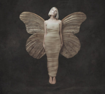 This is a 2 LP Vinyl SKU bundle.
1.This LP Vinyl is brand new.Format: LP VinylMusic Style: Indie PopThis item's title is: All My Demons Greeting Me As A FriendArtist: AuroraLabel: GLASSNOTEBarcode: 810599020927Release Date: 7/25/2022
2.This LP Vinyl is brand new.