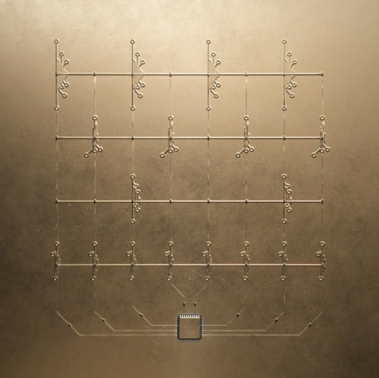 Memo (Silver Vinyl/2LP)