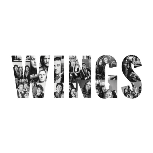 Wings (Deluxe/180G/3LP)