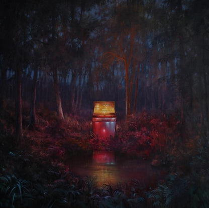 Long Lost (2LP) & Cosmic Selector Vol. 1 (Red Swirl Vinyl/2LP) & Vide Noir (2 LP)
