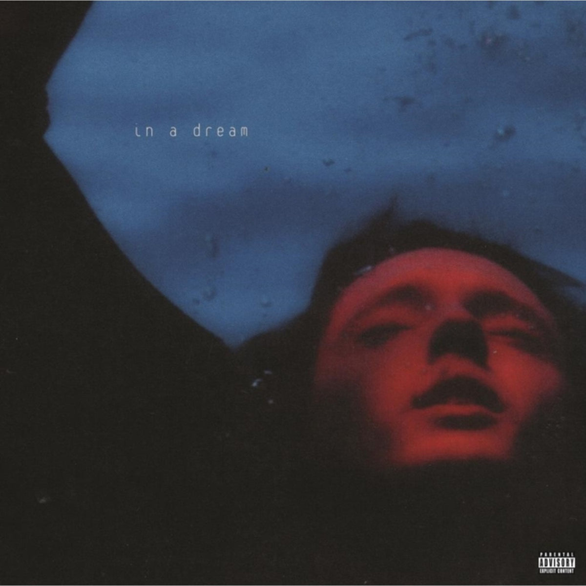 Something To Give Each Other (X) & In A Dream (5 Year Anniversary) (Red/Blue Swirl LP Vinyl/Ep) & Blue Neighbourhood Ten Years On (10Th Anniversary) (Blush Pink/Aqua Blue Vinyl/2LP) & In A Dream (Ep) (Light & Dark Blue Splatter LP Vinyl/180G)