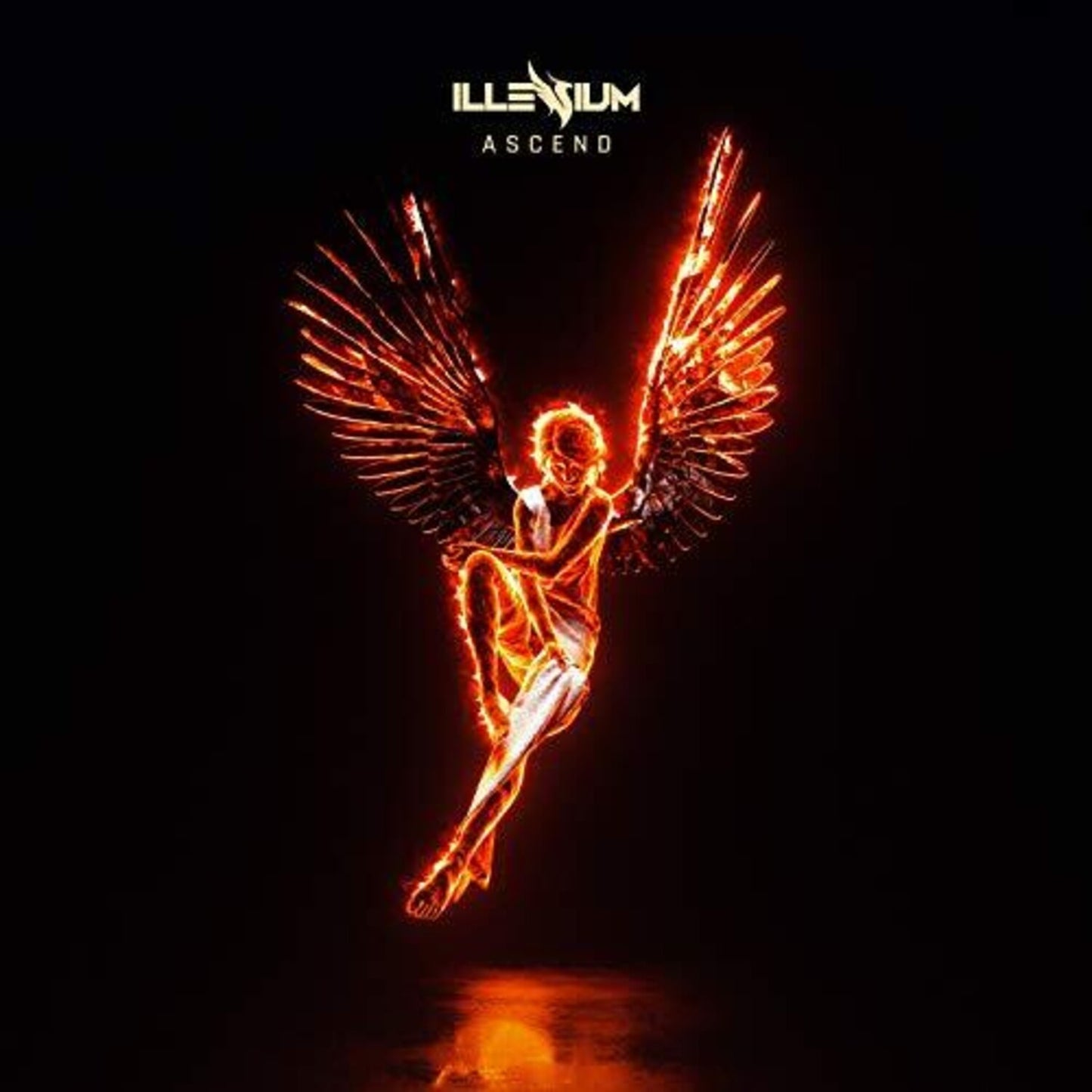 Ascend (2 LP)