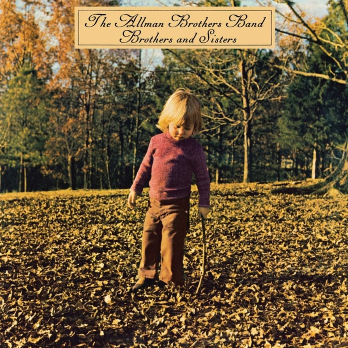 Brothers & Sisters & Allman Brothers Band