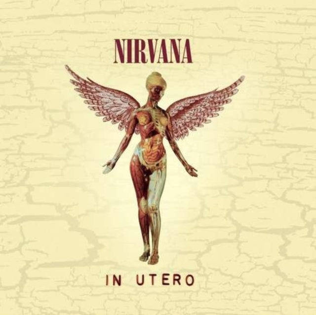 This is a 4 CD SKU bundle.
1.This CD is brand new.Format: CDMusic Style: GrungeThis item's title is: IconArtist: NirvanaLabel: GEFFENBarcode: 602527473260Release Date: 8/31/2010
2.This CD is brand new.
