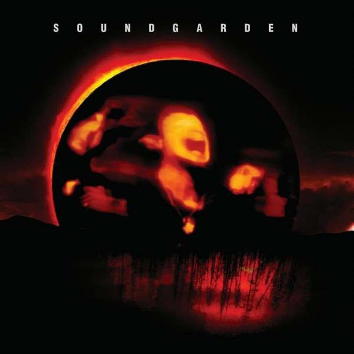 Badmotorfinger & Superunknown