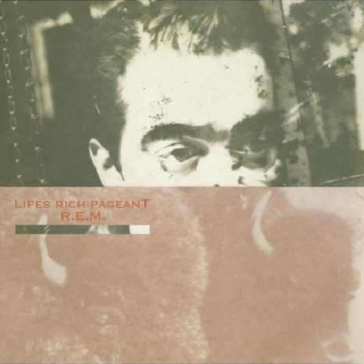Murmur & Reckoning & Chronic Town & Lifes Rich Pageant & Eponymous & Monster