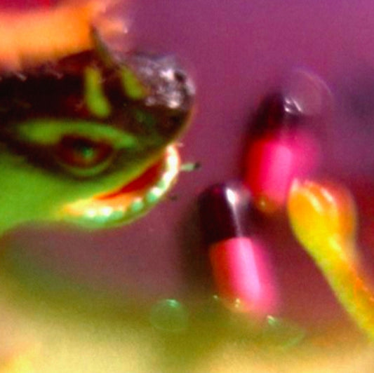 This LP Vinyl is brand new.Format: LP VinylMusic Style: Post-PunkThis item's title is: Take The FallArtist: Bush TetrasLabel: WHARF CAT RECORDSBarcode: 616892569145Release Date: 4/13/2018