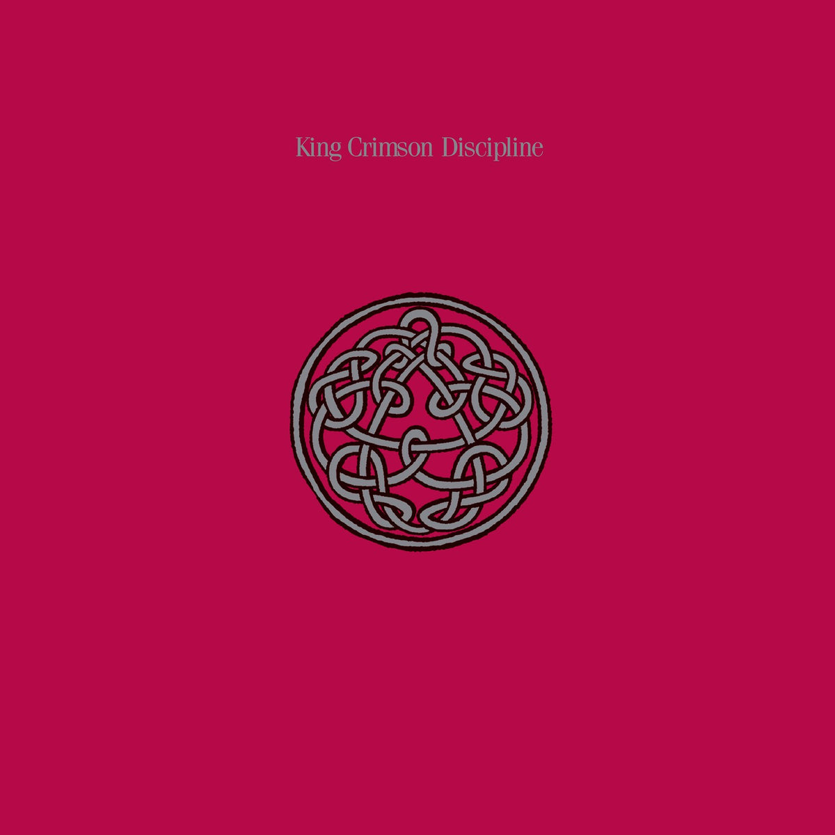 Discipline (200G/2022 Steven Wilson Remix)