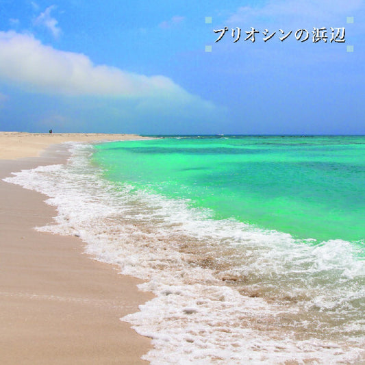 Beach Of The Pliocene (2LP)