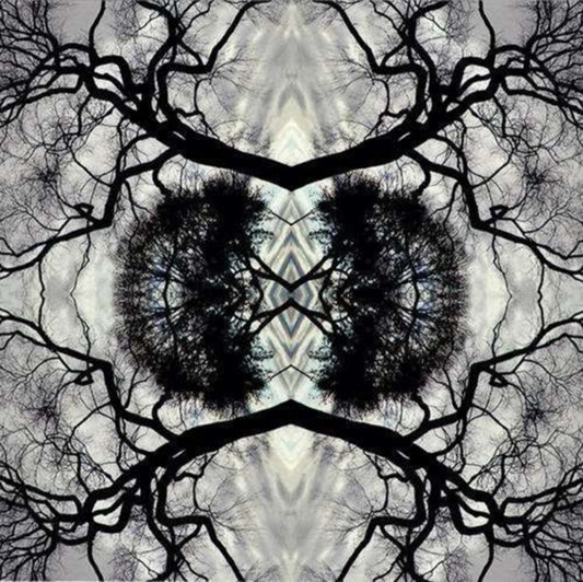Adam Rudolph - Sonic Mandala Go: Organic Orchestra - CD
