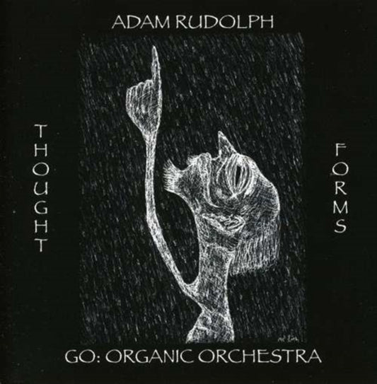 Adam Rudolph - Thought Forms-Go: Organic Orchestra - CD