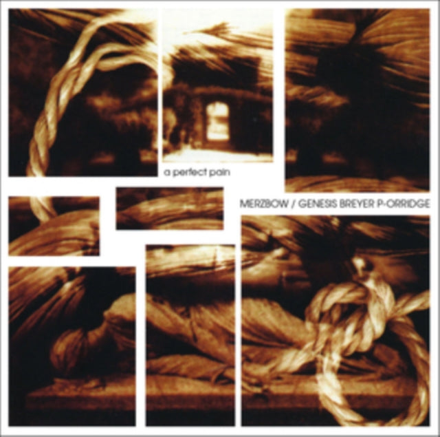 Product Image : This LP Vinyl is brand new.<br>Format: LP Vinyl<br>Music Style: Abstract<br>This item's title is: Perfect Pain<br>Artist: Merzbow / Genesis Breyer P-Orridge<br>Barcode: 641871745142<br>Release Date: 11/16/2018