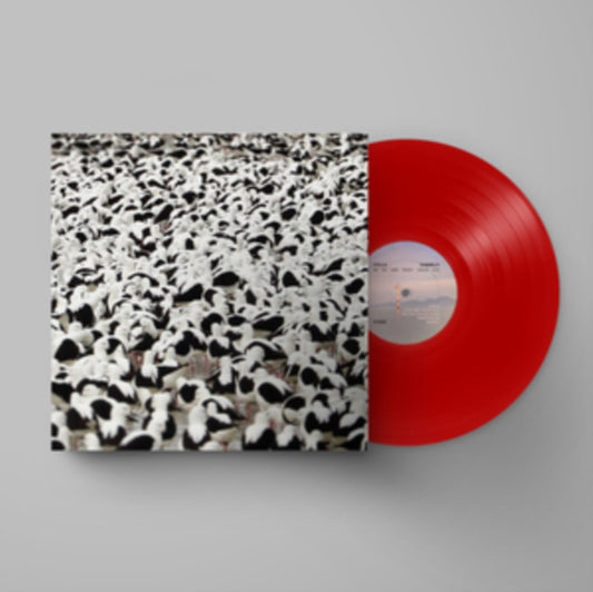 This LP Vinyl is brand new.Format: LP VinylMusic Style: Indie PopThis item's title is: Flood (Opaque Red LP Vinyl)Artist: Stella DonnellyLabel: SECRETLY CANADIANBarcode: 656605043234Release Date: 9/9/2022