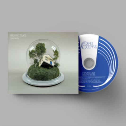 Product Image : This CD is brand new.<br>Format: CD<br>Music Style: Indie Rock<br>This item's title is: Big Picture<br>Artist: Fenne Lily<br>Label: DEAD OCEANS<br>Barcode: 656605163925<br>Release Date: 4/14/2023