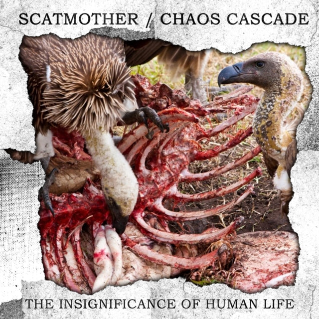 Product Image : This CD is brand new.<br>Format: CD<br>Music Style: Power Electronics<br>This item's title is: Insignificance Of Human Life<br>Artist: Scatmother & Chaos Cascade<br>Label: Dunkelheit Produktionen<br>Barcode: 662425110643<br>Release Date: 12/15/2023