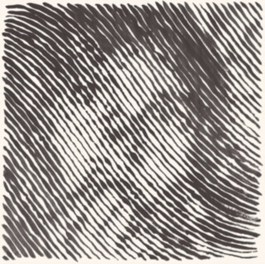 This 12 Inch Vinyl is brand new.Format: 12 Inch VinylMusic Style: AfrobeatThis item's title is: Chang'an EpArtist: Arnau & Kayyak ObiolsLabel: COMPOSTBarcode: 673794257617Release Date: 9/17/2021