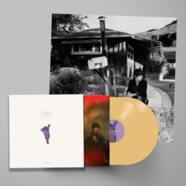 This LP Vinyl is brand new.Format: LP VinylMusic Style: Indie RockThis item's title is: We've Been Going About This All Wrong (Deluxe Edition/Custard Vinyl/2LP)Artist: Sharon Van EttenLabel: JAGJAGUWARBarcode: 674012919430Release Date: 11/11/2022