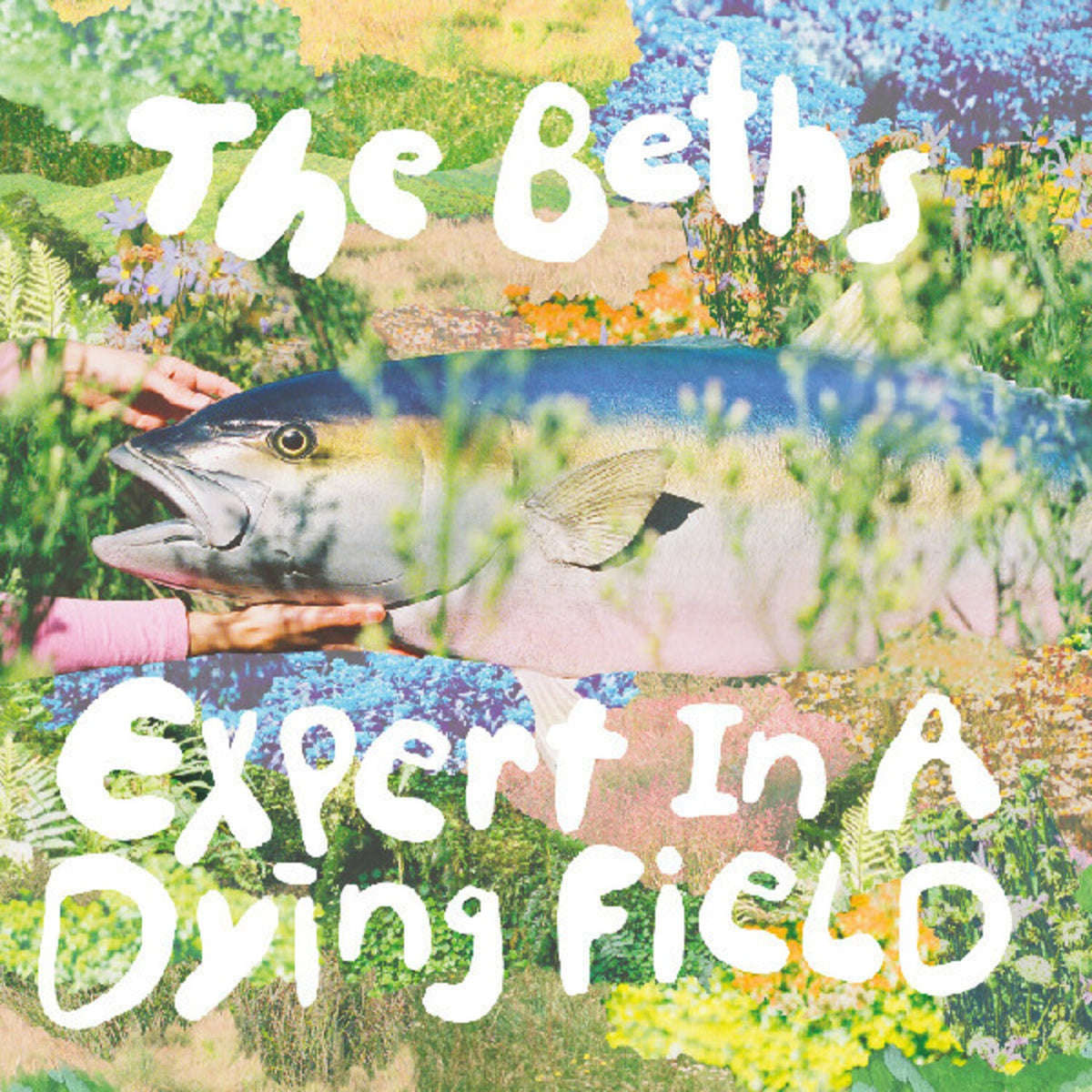 Expert In A Dying Field (Head In The Clouds Blue Eco-Mix LP Vinyl)