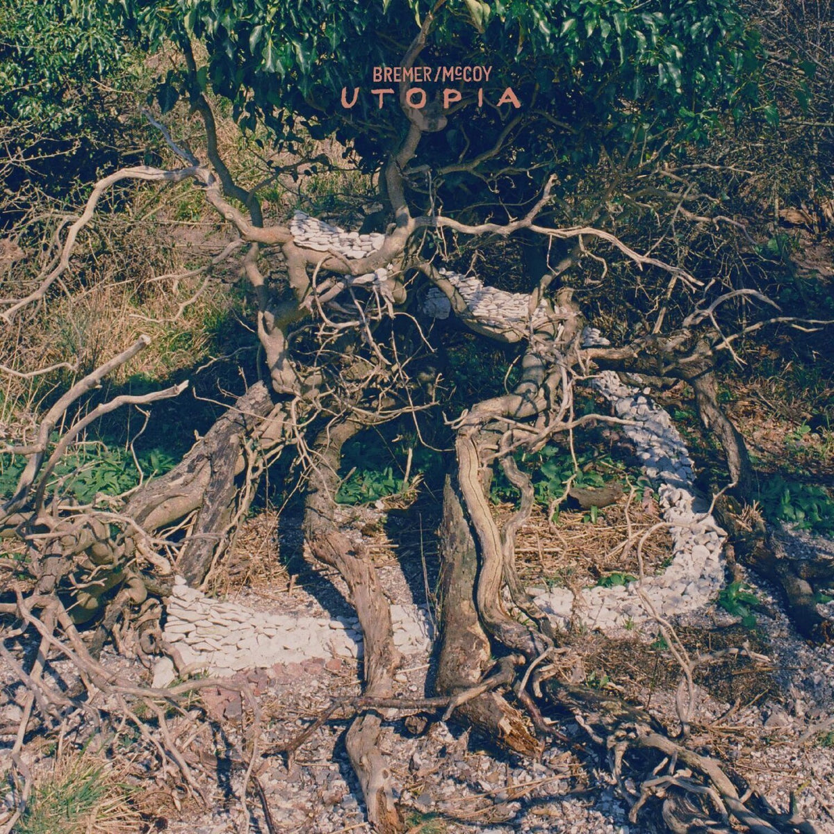 Utopia (Dl Card)