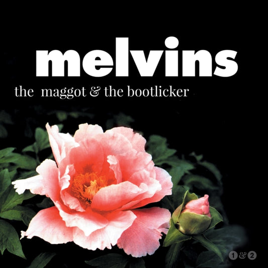 Maggot & The Bootlicker (LP/Dl Card)
