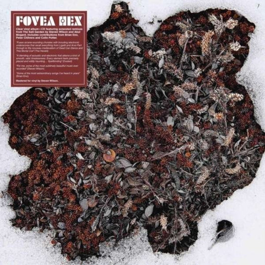 Salt Garden (LP/CD/Import)