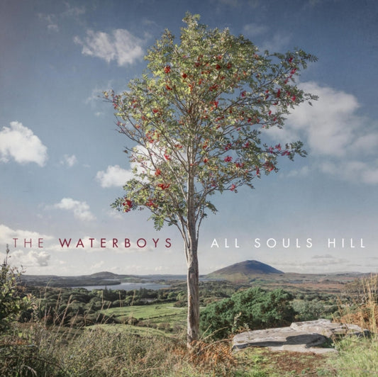 Waterboys - All Souls Hill - LP Vinyl