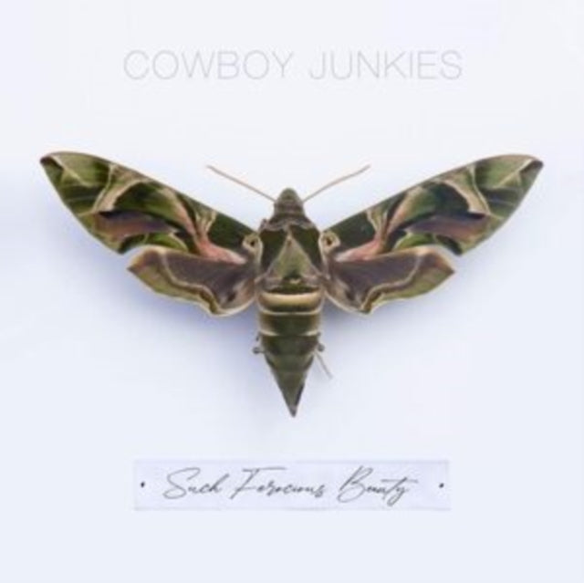 This CD is brand new.Format: CDMusic Style: Black MetalThis item's title is: Such Ferocious BeautyArtist: Cowboy JunkiesLabel: Pestilence RecordsBarcode: 711297539325Release Date: 6/2/2023