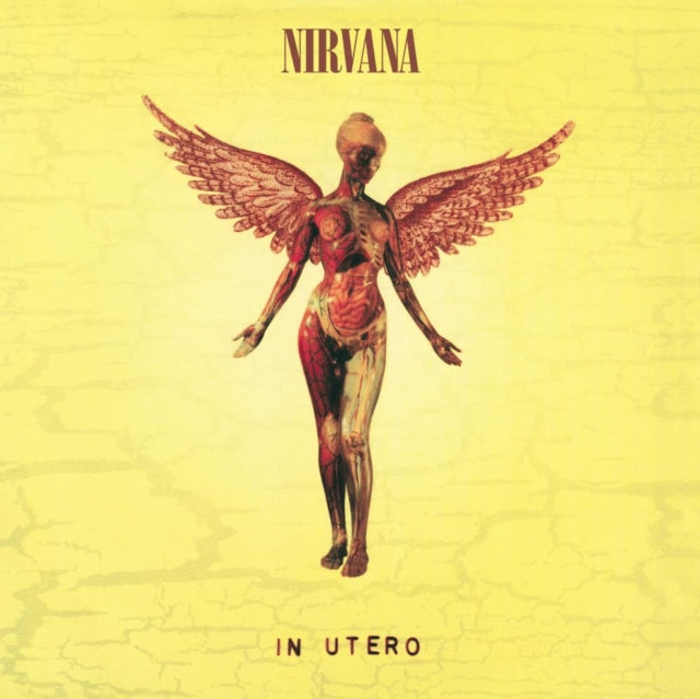 Bleach & Incesticide (20Th Anniversary 45RPM Edition) & Nirvana (150G/Dl Code) & In Utero (180G/33-1/3 RPM) & Unplugged In N.Y.