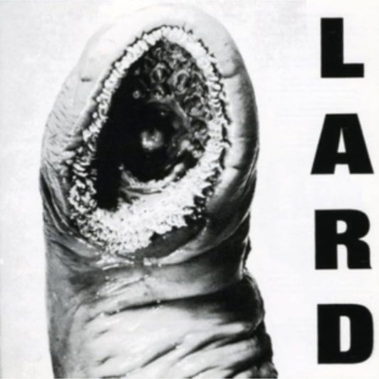 Power Of Lard