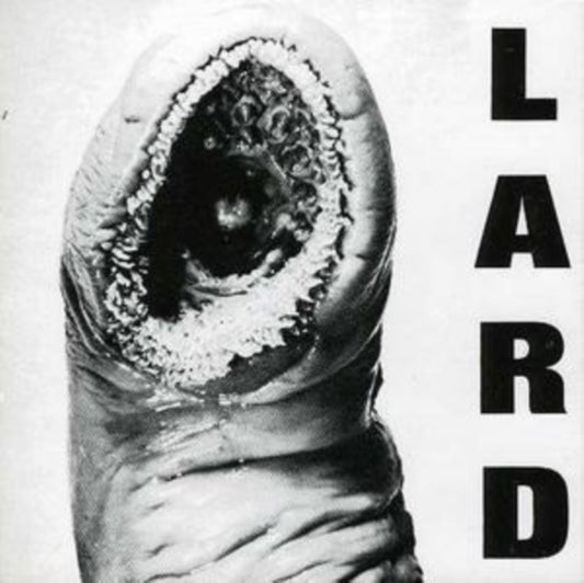 Power Of Lard