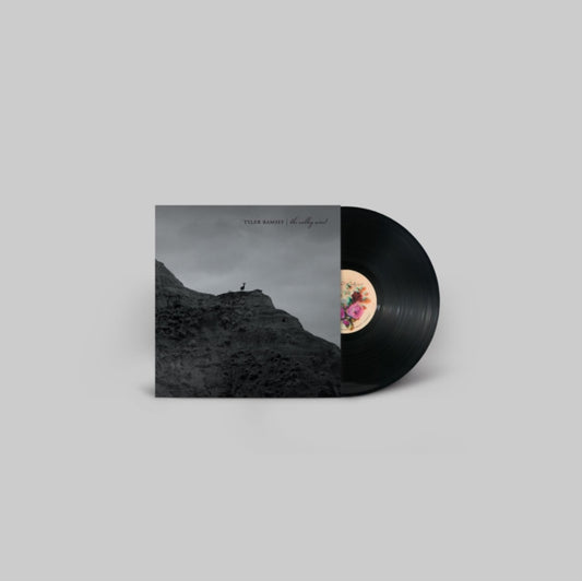 Product Image : This LP Vinyl is brand new.<br>Format: LP Vinyl<br>Music Style: Folk<br>This item's title is: Valley Wind<br>Artist: Tyler Ramsey<br>Label: Soundly Music<br>Barcode: 724994091942<br>Release Date: 4/19/2024