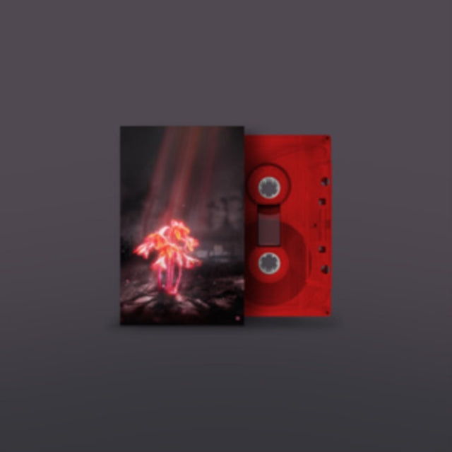 Enter Shikari - Kiss For The Whole World (Color Cassette)