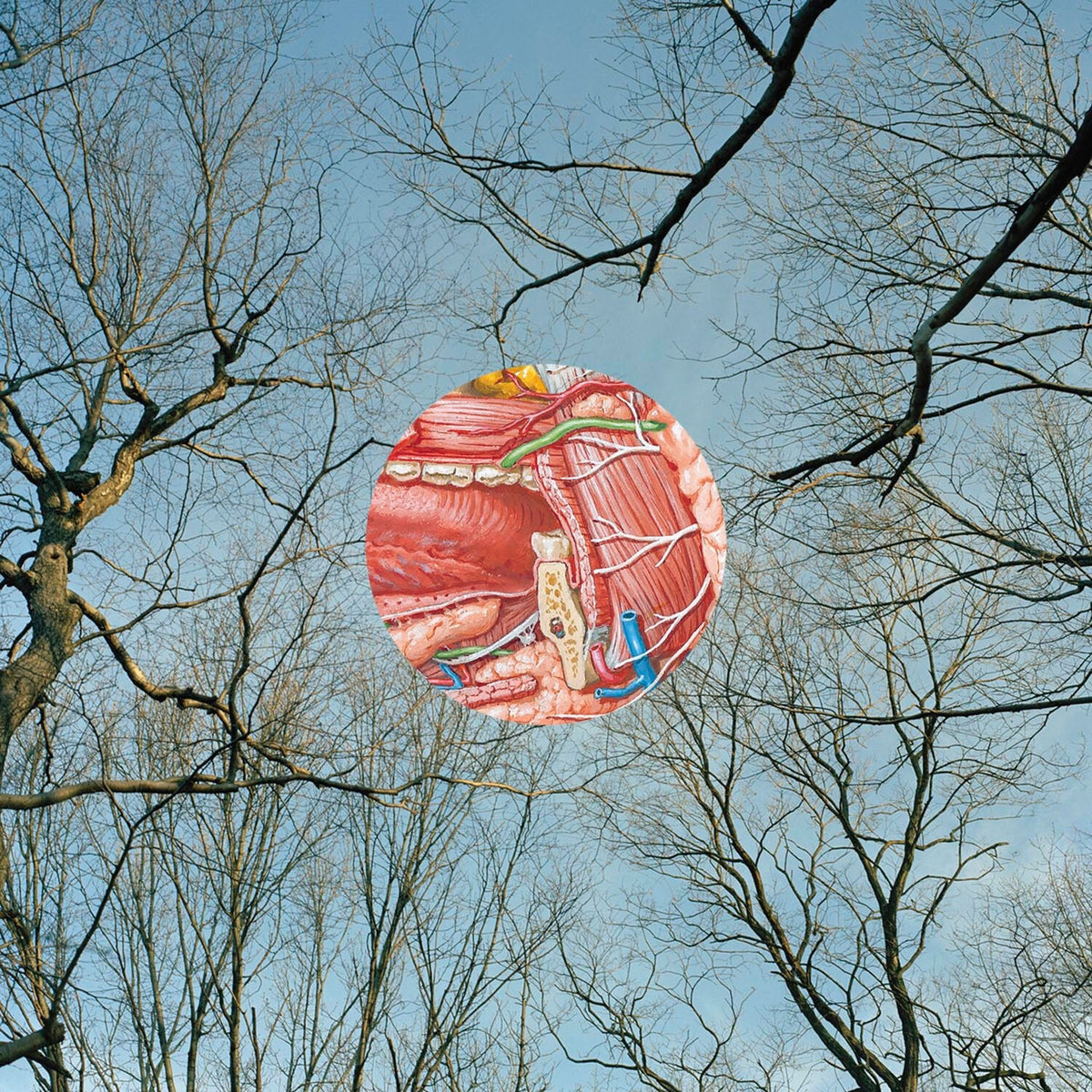 Glean (Clear W/ Red Whisps LP Vinyl)