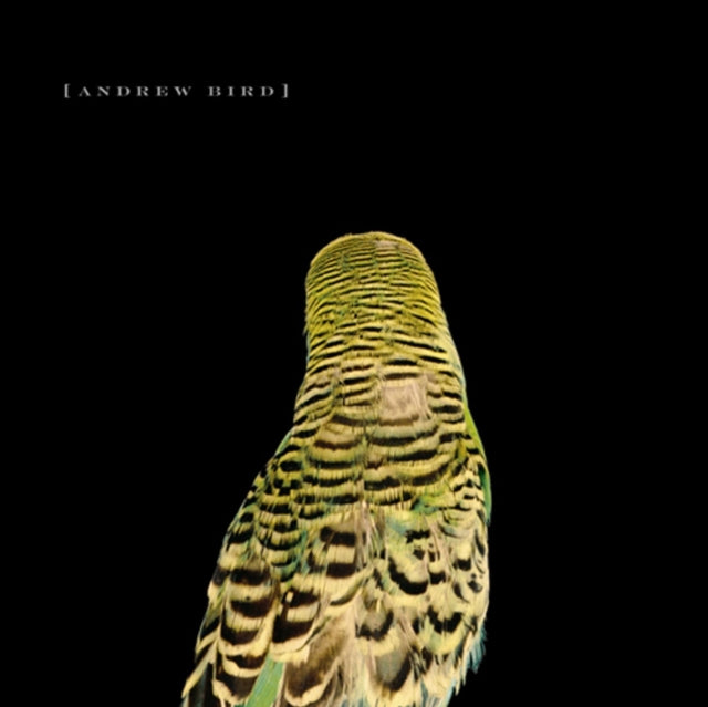Andrew Bird - Armchair Apocrypha - CD