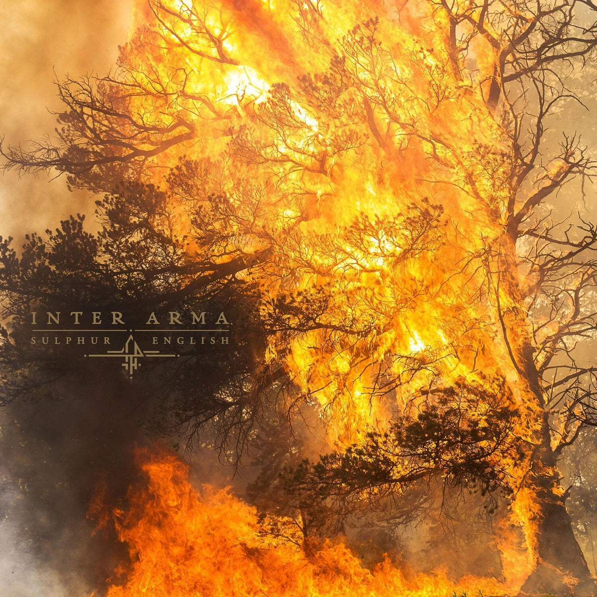 Inter Arma - Paradise Gallows (Mint Green & Grimace Purple Galaxy Merge Vinyl/2LP) & Sulphur English (Gold Nugget Vinyl/2LP)