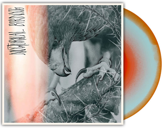 Nocturnal Birding (Custom Merge LP Vinyl)