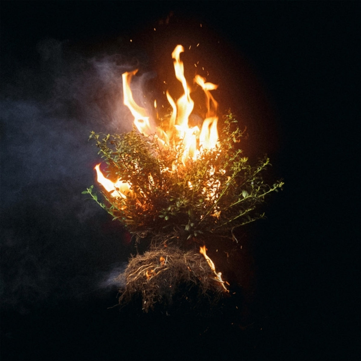 When Wind Meets Fire (2CD) & Can You Imagine?