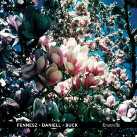 This LP Vinyl is brand new.Format: LP VinylMusic Style: TechnoThis item's title is: KnoxvilleArtist: Fennesz / Daniell / BuckLabel: THRILL JOCKEY RECORDSBarcode: 790377024616Release Date: 8/24/2010